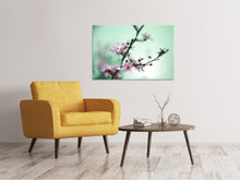Load image into Gallery viewer, Canvas print Beautiful Japanese Cherry Blossom