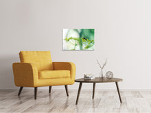 Load image into Gallery viewer, Canvas print XXL Parsnip