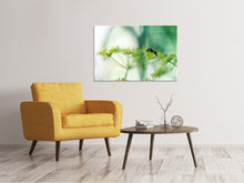 Load image into Gallery viewer, Canvas print XXL Parsnip