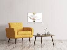 Load image into Gallery viewer, Canvas print XXL Orchid Flower