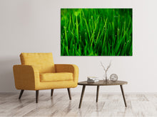 Load image into Gallery viewer, Canvas print Grass With Morning Dew