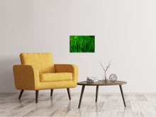 Load image into Gallery viewer, Canvas print Grass With Morning Dew