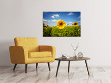 Load image into Gallery viewer, Canvas print Summer Sunflowers