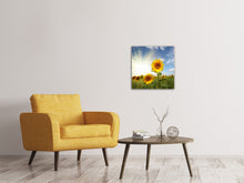 Load image into Gallery viewer, Canvas print Sunflower In Sunlight