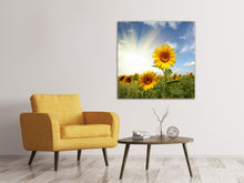 Load image into Gallery viewer, Canvas print Sunflower In Sunlight