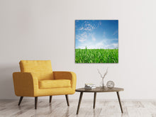 Load image into Gallery viewer, Canvas print The Grass