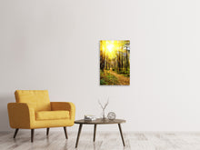 Load image into Gallery viewer, Canvas print Woodland Walk In The Autumn Sun