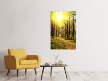 Load image into Gallery viewer, Canvas print Woodland Walk In The Autumn Sun