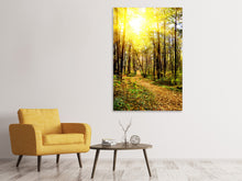 Load image into Gallery viewer, Canvas print Woodland Walk In The Autumn Sun