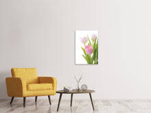 Load image into Gallery viewer, Canvas print The Tulips Trio