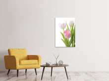 Load image into Gallery viewer, Canvas print The Tulips Trio