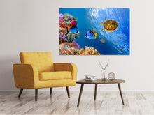 Load image into Gallery viewer, Canvas print Fish In the Water