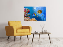 Load image into Gallery viewer, Canvas print Fish In the Water
