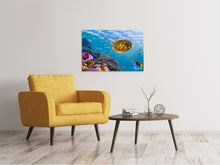 Load image into Gallery viewer, Canvas print The Turtle