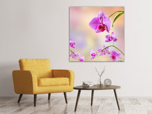 Load image into Gallery viewer, Canvas print Romantic Orchids