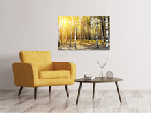Load image into Gallery viewer, Canvas print Birch Forest
