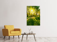 Load image into Gallery viewer, Canvas print Forest Path In Sunlight