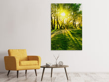 Load image into Gallery viewer, Canvas print Forest Path In Sunlight