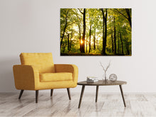 Load image into Gallery viewer, Canvas print Sunset Between Trees
