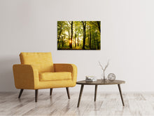Load image into Gallery viewer, Canvas print Sunset Between Trees
