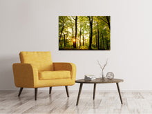 Load image into Gallery viewer, Canvas print Sunset Between Trees