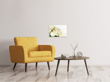 Load image into Gallery viewer, Canvas print White Roses