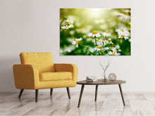 Load image into Gallery viewer, Canvas print The Daisy