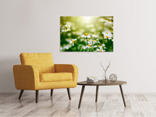 Load image into Gallery viewer, Canvas print The Daisy