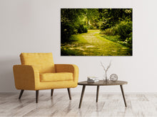 Load image into Gallery viewer, Canvas print Moss-Covered Path