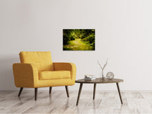 Load image into Gallery viewer, Canvas print Moss-Covered Path