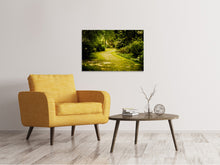 Load image into Gallery viewer, Canvas print Moss-Covered Path