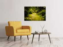 Load image into Gallery viewer, Canvas print Moss-Covered Path