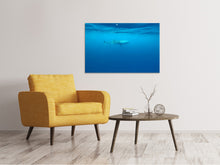 Load image into Gallery viewer, Canvas print The Whale Shark