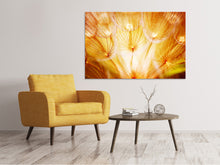 Load image into Gallery viewer, Canvas print Close Up Dandelion In Light