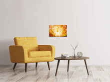 Load image into Gallery viewer, Canvas print Close Up Dandelion In Light