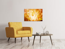 Load image into Gallery viewer, Canvas print Close Up Dandelion In Light