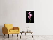 Load image into Gallery viewer, Canvas print 3 Purple Callas