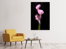 Load image into Gallery viewer, Canvas print 3 Purple Callas