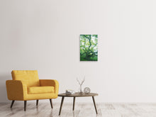 Load image into Gallery viewer, Canvas print The Old Tree
