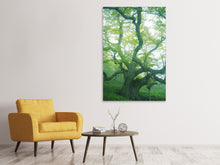 Load image into Gallery viewer, Canvas print The Old Tree
