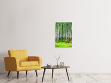 Load image into Gallery viewer, Canvas print The Birch Forest In Summer