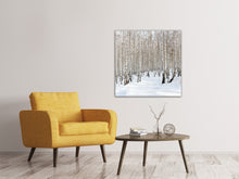 Load image into Gallery viewer, Canvas print Birch Forest Tracks In Snow