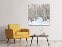 Load image into Gallery viewer, Canvas print Birch Forest Tracks In Snow