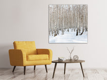 Load image into Gallery viewer, Canvas print Birch Forest Tracks In Snow
