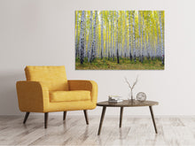 Load image into Gallery viewer, Canvas print Autumnal Birch Forest
