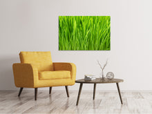 Load image into Gallery viewer, Canvas print Grass In Morning Dew
