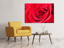 Load image into Gallery viewer, Canvas print Red Rose In Morning Dew