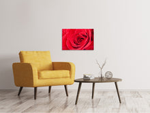 Load image into Gallery viewer, Canvas print Red Rose In Morning Dew