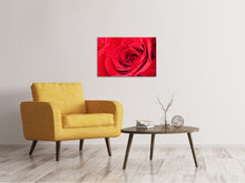 Load image into Gallery viewer, Canvas print Red Rose In Morning Dew