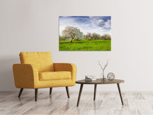 Load image into Gallery viewer, Canvas print Apple Tree Garden